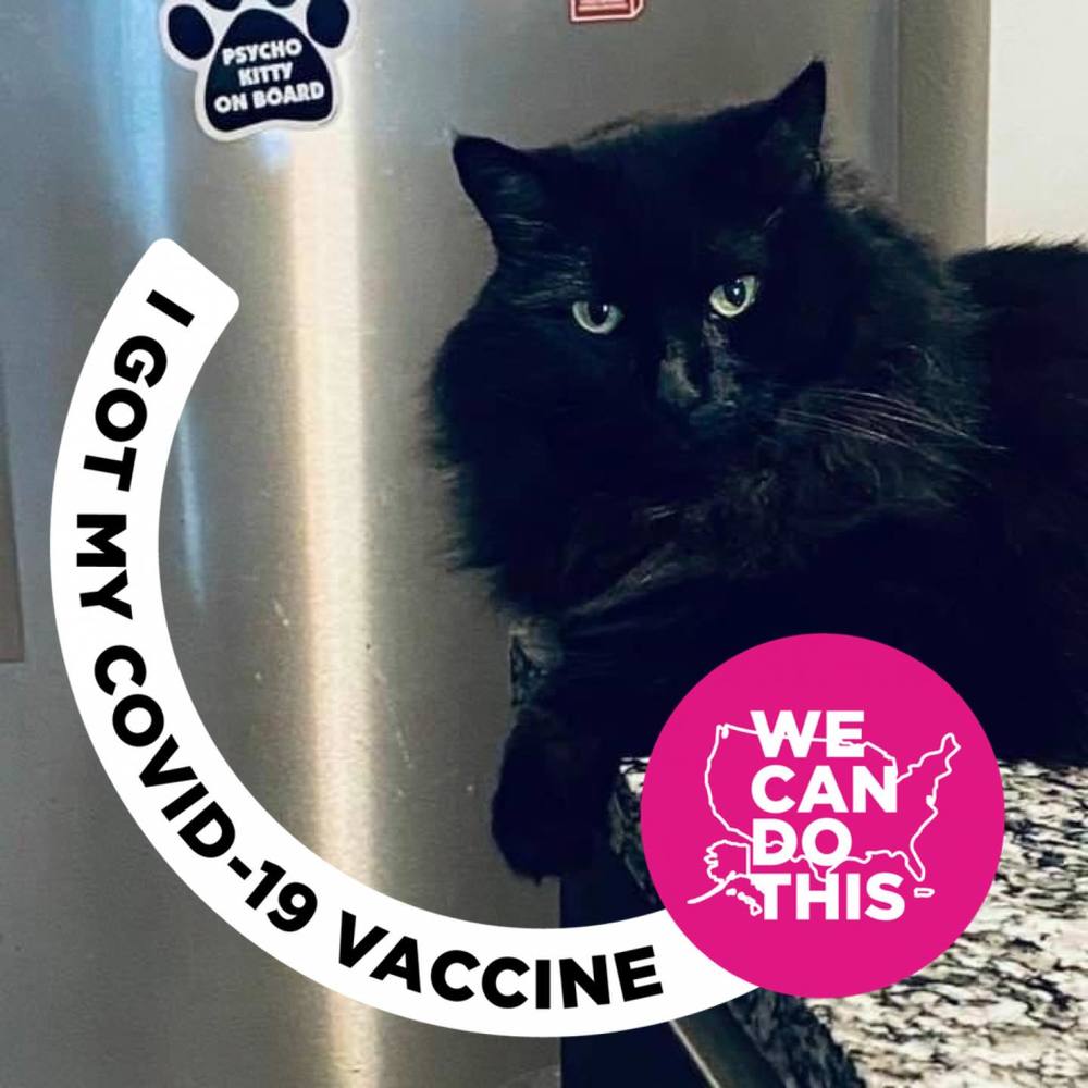 Meet your Posher, Trina